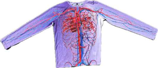 anatomy mesh